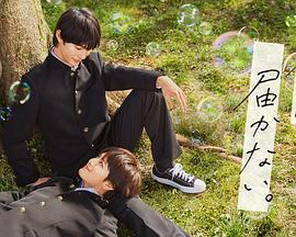 红河网站优化推广公司